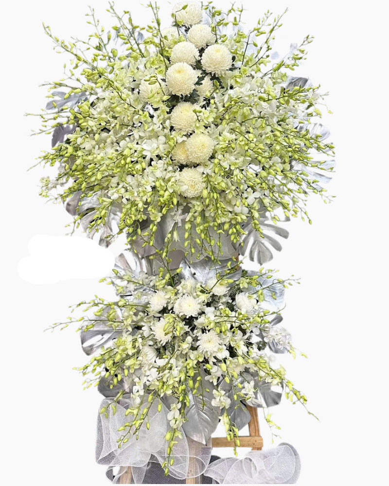  Thương Sâu Sắc - HTL149 