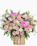  Hoa Hộp Khu Vườn Ban Mai - HH200 