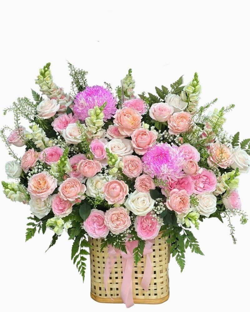  Hoa Hộp Khu Vườn Ban Mai - HH200 