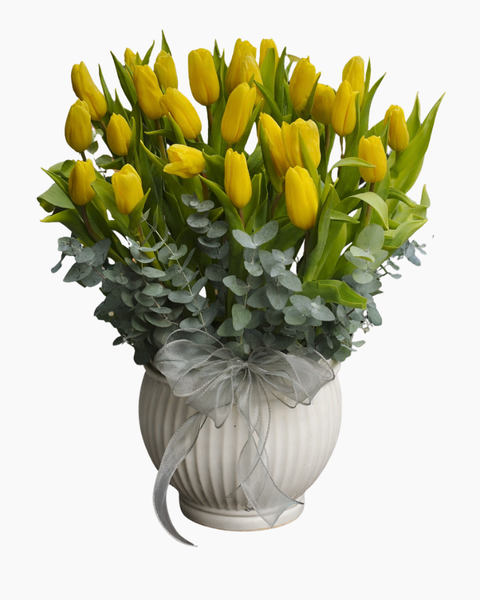 Hoa Tulip bộ sưu tập hoa tulip đẹp, sang trọng, tinh tế: Bình Hoa Tulip Vàng - HCB83