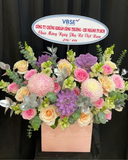  Sắc Màu Tình Yêu  - HCH133 