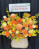  Hộp Hoa Cam Quốc Vương-HH73 