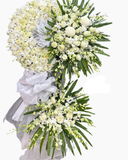  Tiếc Thương Vô Hạn - HTL148 