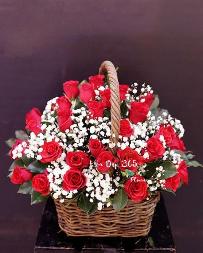  Yêu Thương Đong Đầy - HG42 