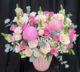  Hộp Hoa Hồng Nhung - HH134 