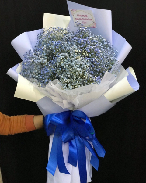 Mẫu Hoa Tươi Màu Xanh: Bó Hoa Babi Hà Lan Xanh - HB01