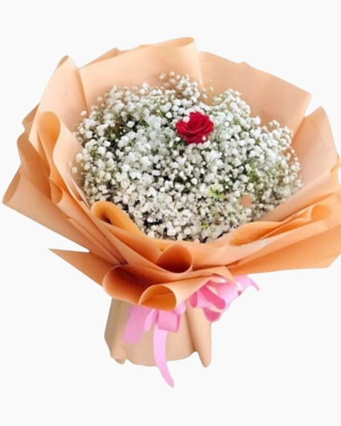 Hoa Hồng: Mỗi Em - HBT74 - Hoa Hồng 20/10