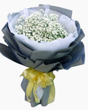  Bó Baby Tinh Khiết - HBT26 - Hoa 20/11 