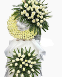  Nhớ Thương - HTL147 