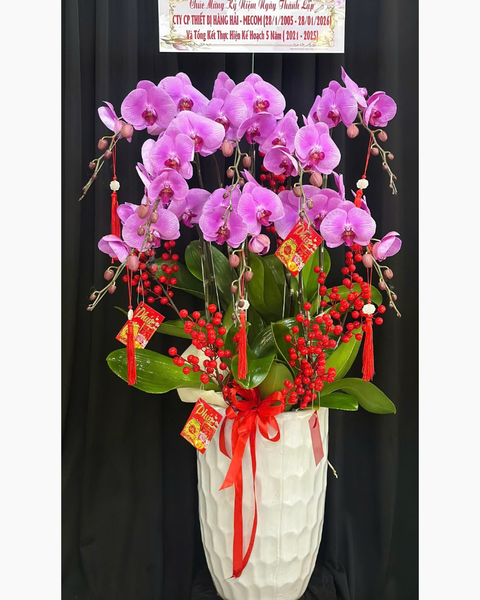 Chậu Hoa Lan: Chậu Lan Hồ Điệp Đắc Lộc - LHĐ188