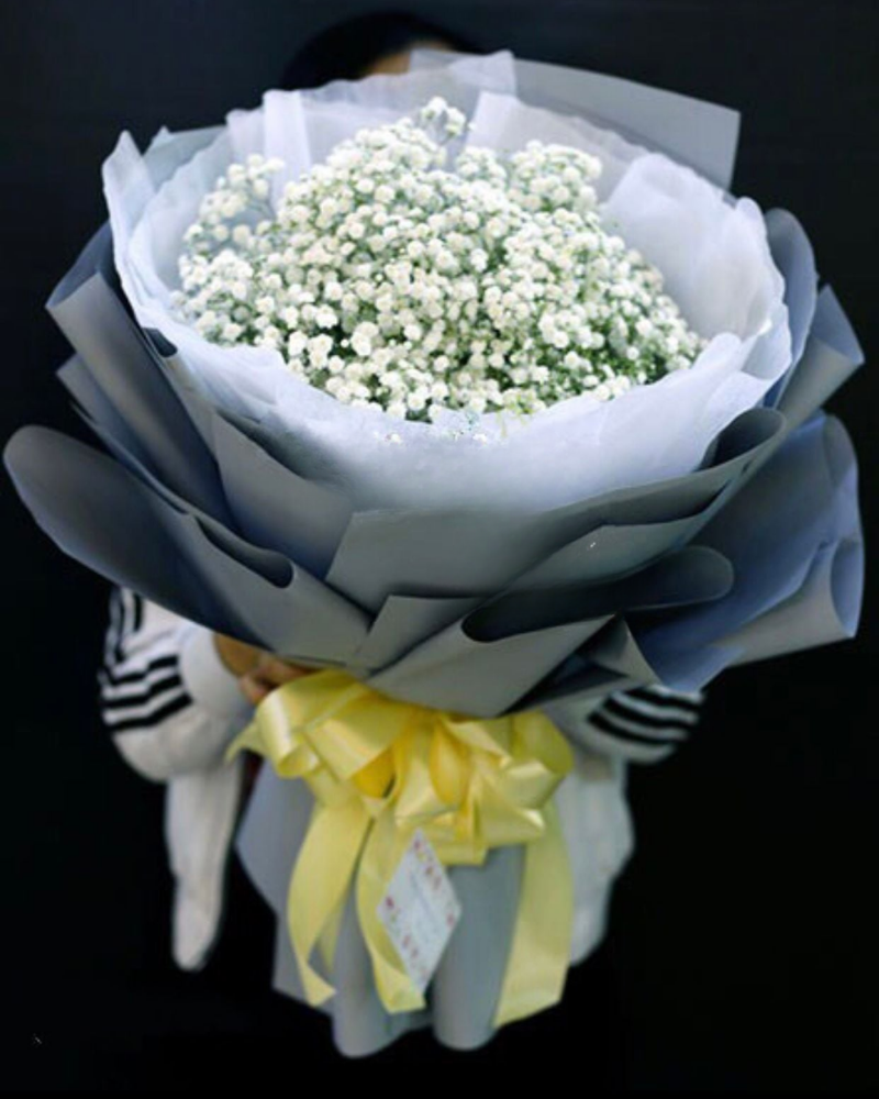  Bó Baby Tinh Khiết - HBT26 - Hoa 20/11 