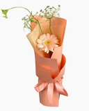  Bonjour - HBD67 - Bó hoa tươi 