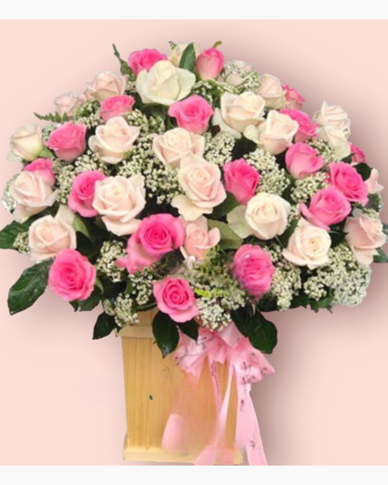  Xinh Tươi - HCH69 - Hoa Hồng 20/10 - Hoa Hồng Pastel, Hoa Hồng Sen và Hoa Ami 