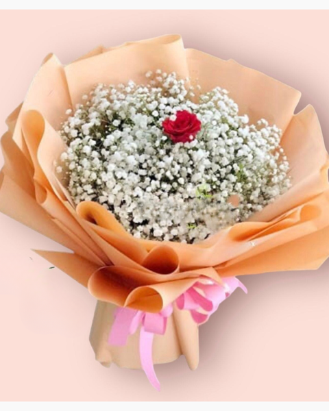 Hoa Hồng: Mỗi Em - HBT74 - Hoa Hồng 20/10