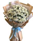  Nét Đẹp Tinh Khiết - HBD93 