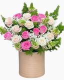  Hộp Hoa Tinh Tú - HH113 