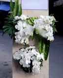  Heartfelt Dignity - HTL11 - Vòng Hoa Đám Tang 