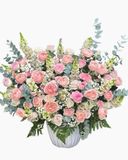  Hoa Hộp Sương Mai Hồng Phấn  - HH199 