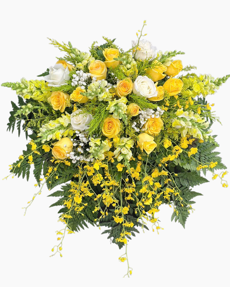  Phát Quang Ánh Vàng - BPB23 