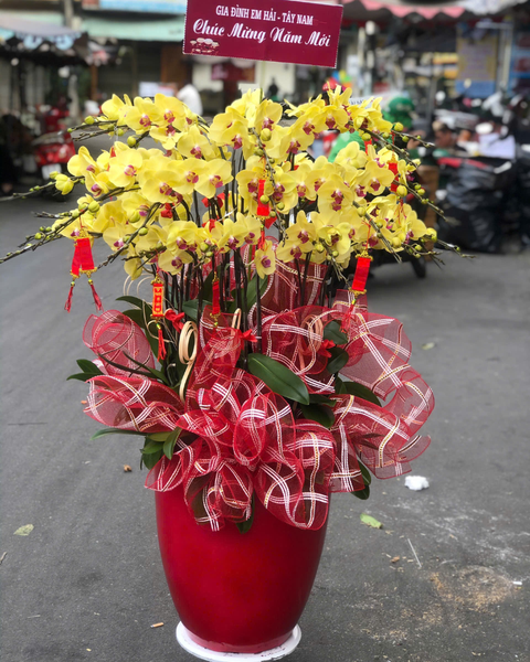 Lan Điệp Vượng Gia - LHĐ164