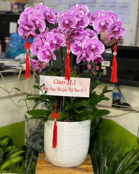 Lan Ngọc Phúc An Nhiên - LHĐ148