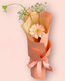  Bonjour - HBD67 - Bó hoa tươi 