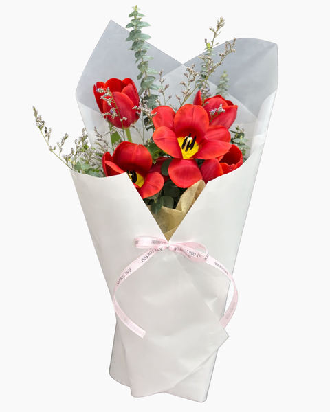 Hoa Tulip bộ sưu tập hoa tulip đẹp, sang trọng, tinh tế: Bó Hoa TULIP Xinh - HBD352
