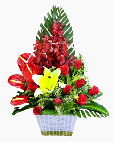 : Giỏ Hoa Mini Thanh Âm - HG10 - Hoa Tươi