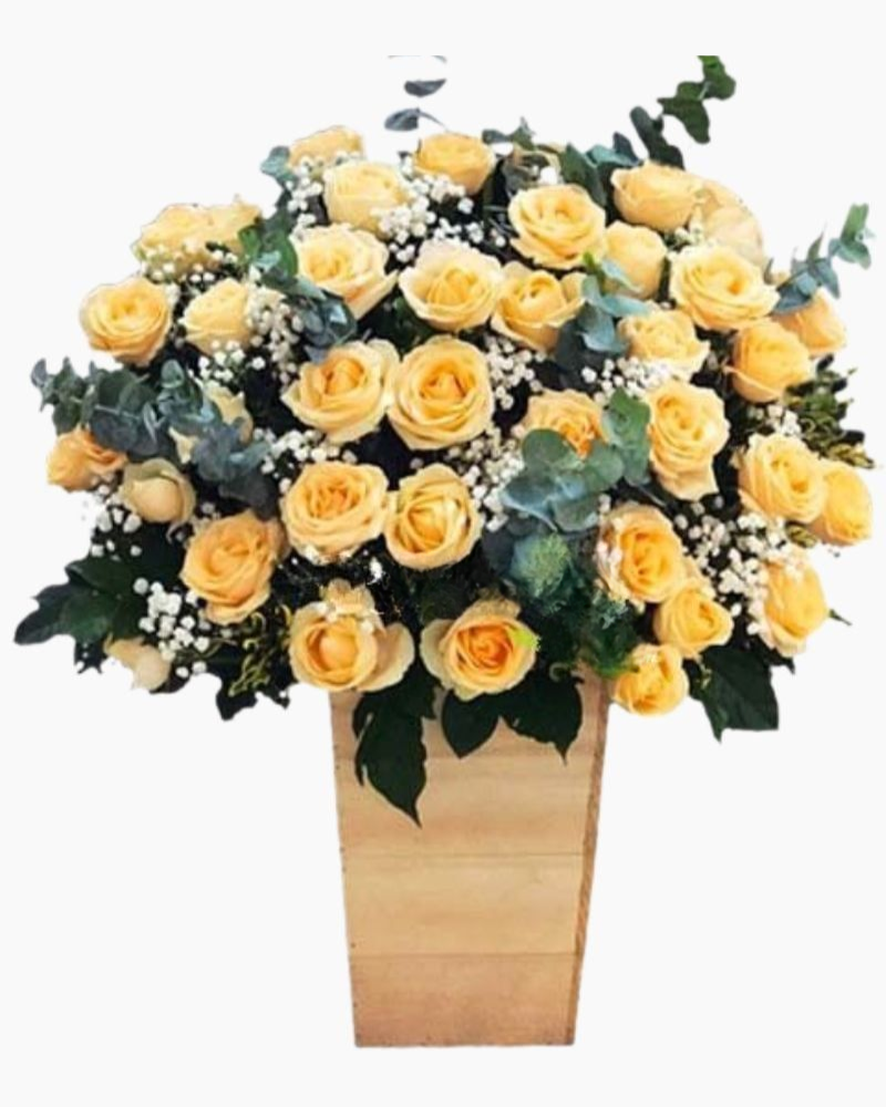  Dành Cho Em - HCH68 