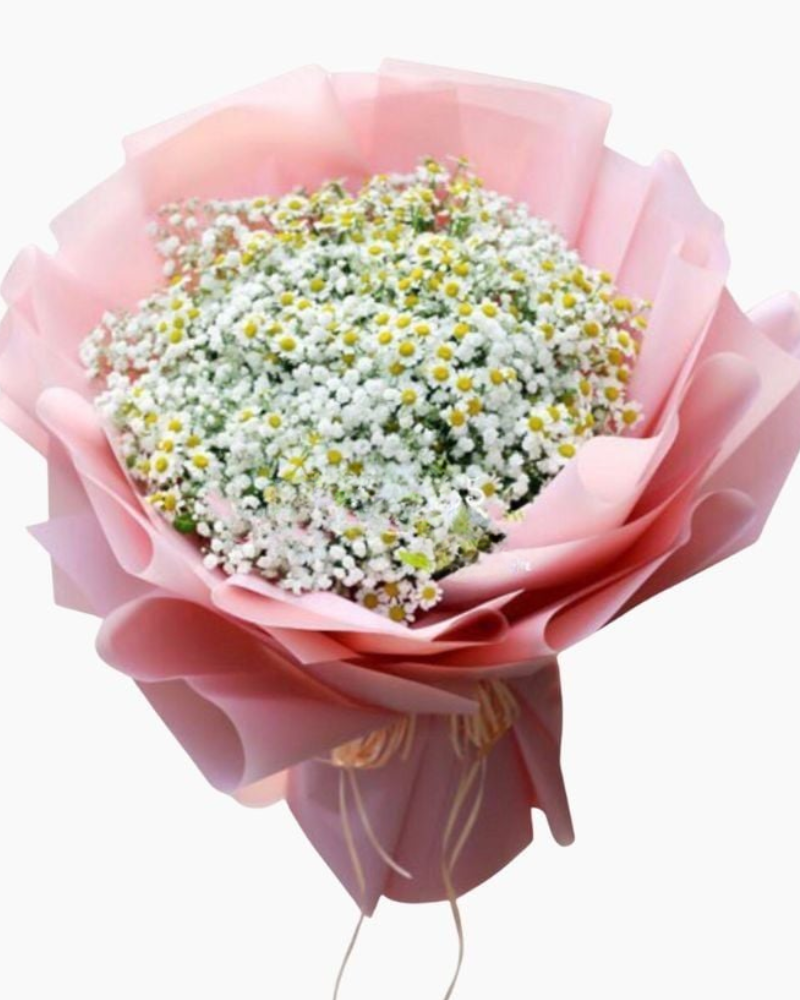  Tana Và Baby - HBT73 - Hoa tặng Mẹ 