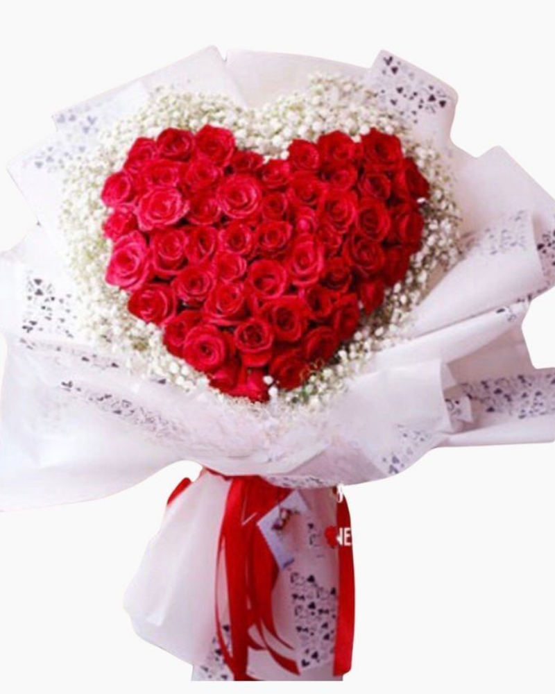  Trái Tim Nồng Cháy - HBT24 