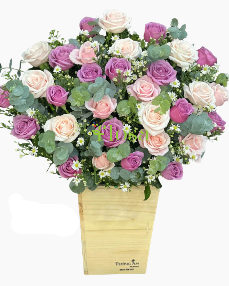  Sắc Tím Hồng  - HCH125 