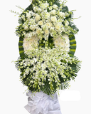  Lời Thương Nhớ - HTL145 