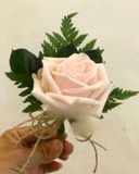  Hoa Cài Áo - CA010 