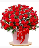  Thương Lắm - HCH92 