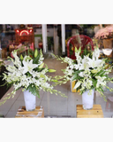  Tinh Khôi - GHV06 - Điện Hoa 