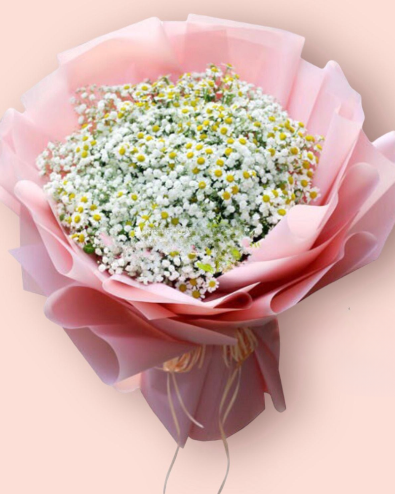  Tana Và Baby - HBT73 - Hoa tặng Mẹ 