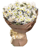  Mùa Đông Không Lạnh - HBT66 