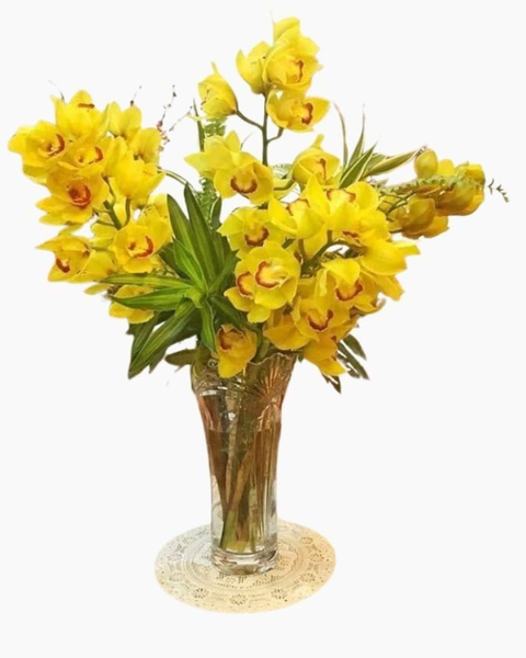 Hoa Cắt Cành Giá Rẻ, Cành Hoa Đẹp Bán Lẻ, Giá Tốt, Giao 2H: Hoa Địa Lan - Hoa Tươi Cắt Cành Giao 2H Tại TP.HCM