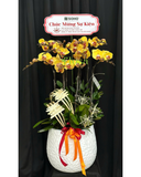  Chậu Lan Phú Quý-LHĐ123 