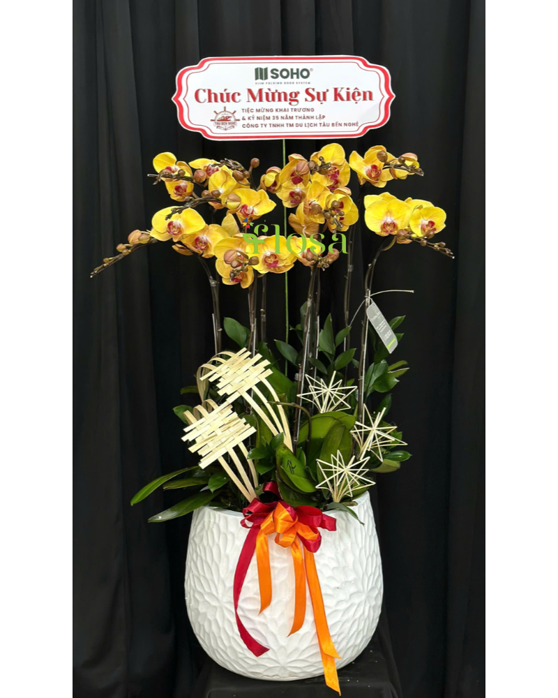  Chậu Lan Phú Quý-LHĐ123 