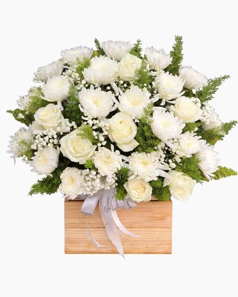 Mẫu Bó Hoa Bằng Tiền 500k Đẹp, Sang Chảnh Nhất: Hộp Hoa Thương Mến - HTL193