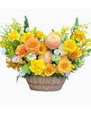  Hoa Giỏ Nắng Xuân May Mắn - Hoa 20/10 - HG76 