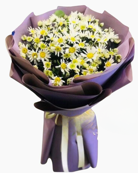 Mẫu Hoa Cúc: Bó Cúc Hoạ Mi Mộng Mơ - HBT65 - Hoa 20/11