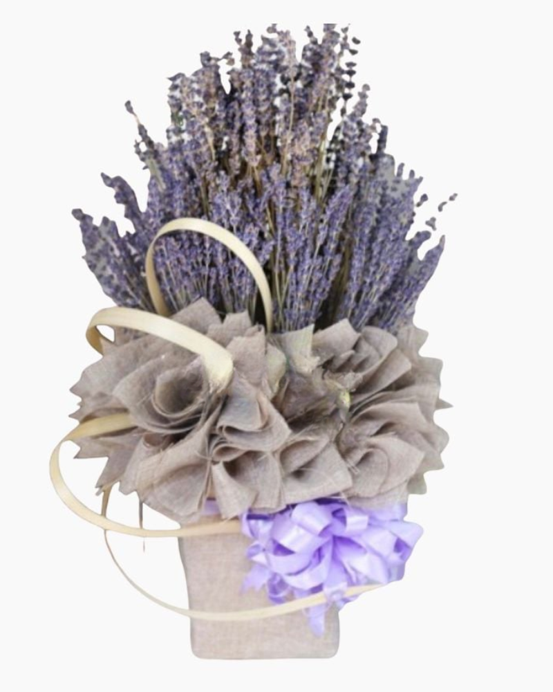  Hộp Hoa Lavender Giản Dị - LVD05 