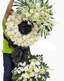  Hoa Từ Biệt - HTL144 