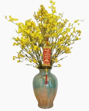  Bình Thanh Liễu Mix Lan Vũ Nữ - HCB59 - Hoa Trưng Tết 