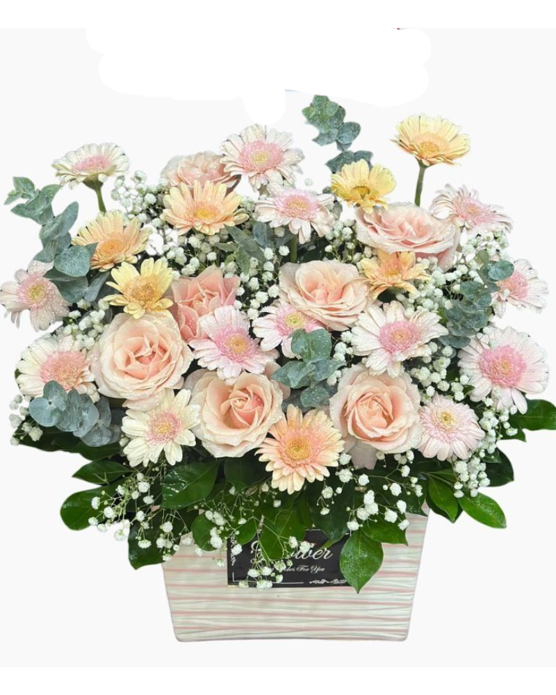  Hoa Giỏ Thì Thầm Hoa Nắng - Hoa 20/10 - HG75 