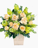  Hộp Hoa Bản Nhạc Dịu Êm - HCH19 