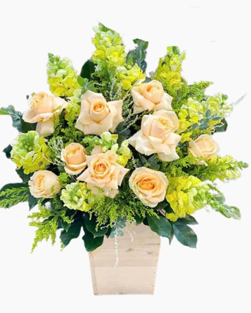  Hộp Hoa Bản Nhạc Dịu Êm - HCH19 